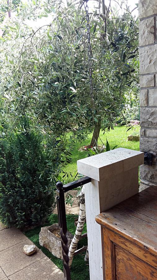 Apartment Rusnjak Novigrad  ภายนอก รูปภาพ